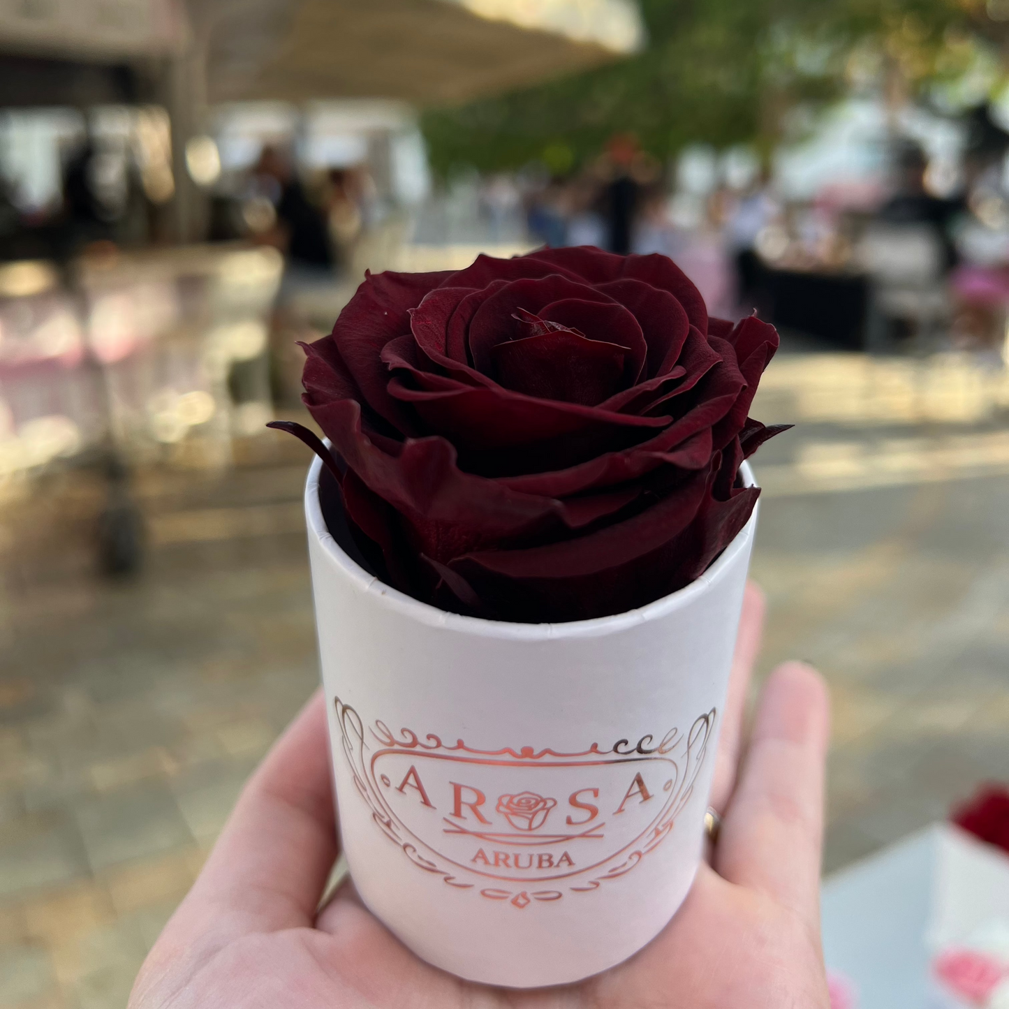 Single Rose Box