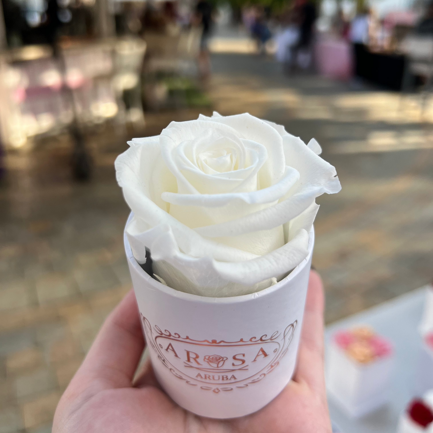 Single Rose Box