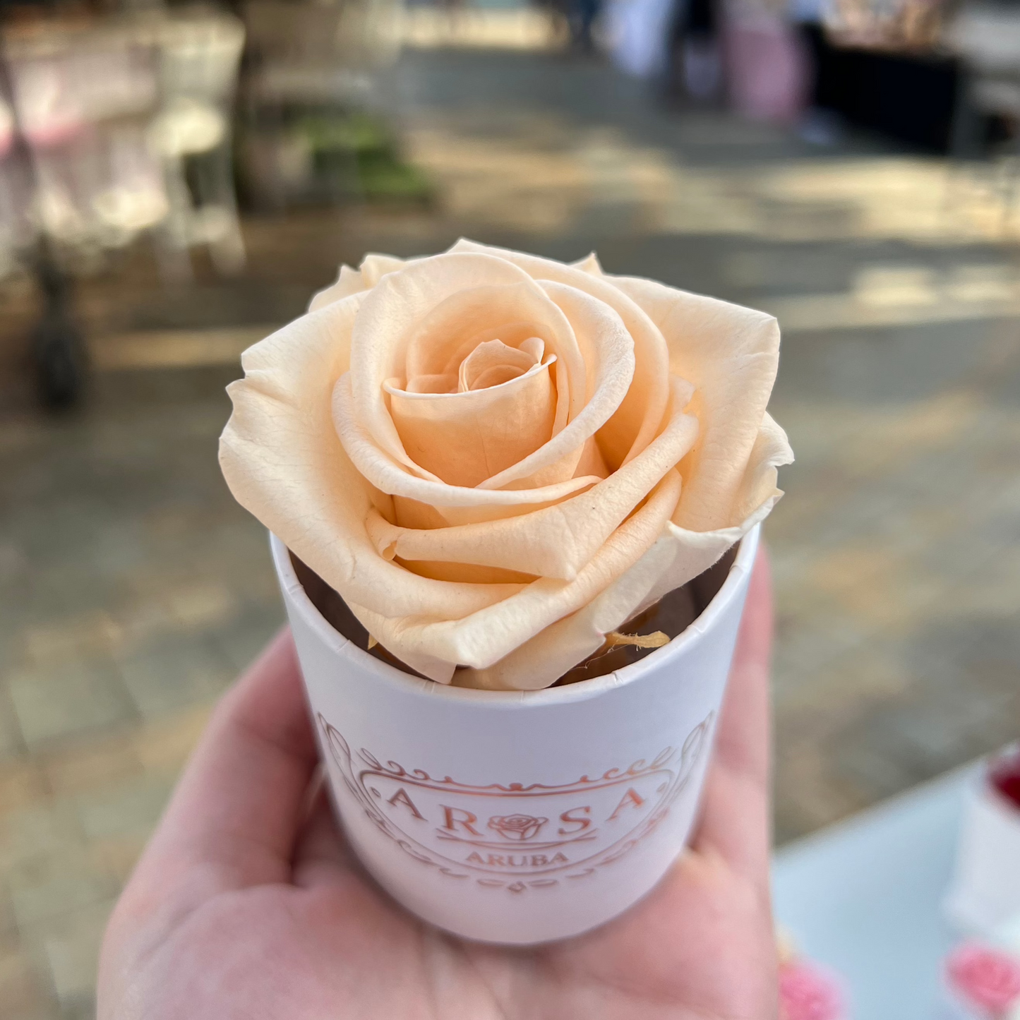 Single Rose Box