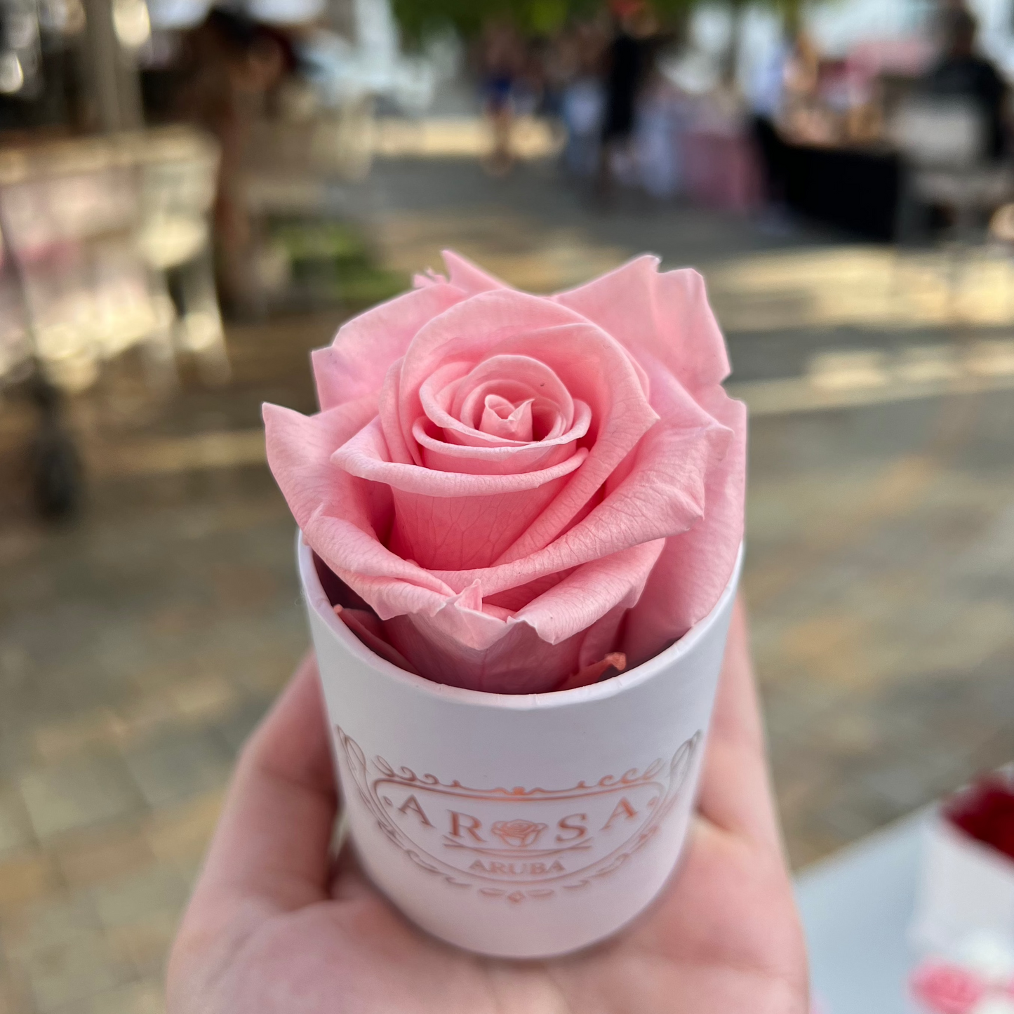 Single Rose Box