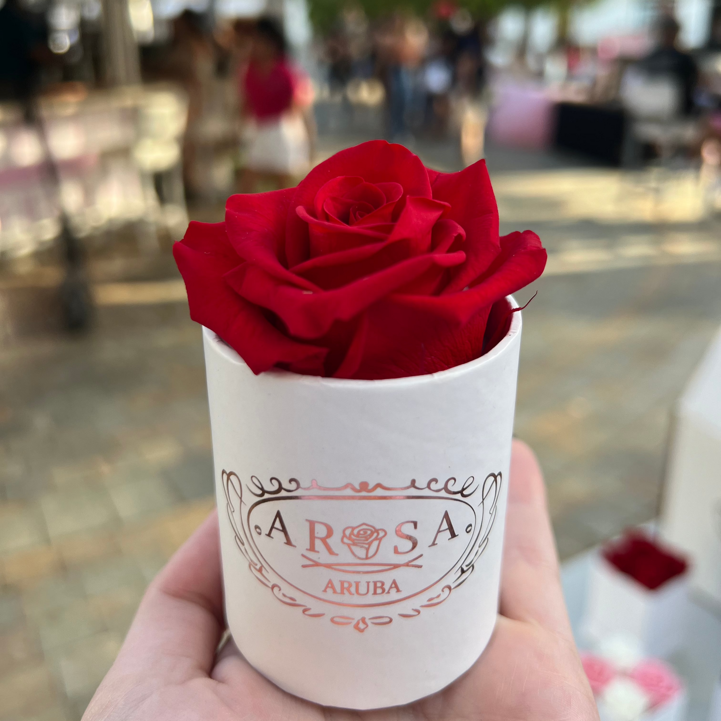 Single Rose Box